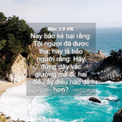Picture 04 - Mác 2:9 VIE - Nay bảo kẻ bại rằng: Tội ngươi đã - Bible Verse Picture