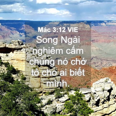 Picture 04 - Mác 3:12 VIE - Song Ngài nghiêm cấm chúng nó chớ tỏ - Bible Verse Picture