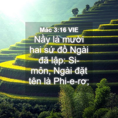 Picture 04 - Mác 3:16 VIE - Nầy là mười hai sứ đồ Ngài đã - Bible Verse Picture