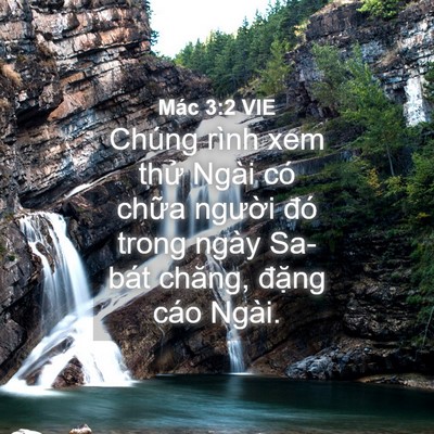 Picture 04 - Mác 3:2 VIE - Chúng rình xem thử Ngài có chữa người - Bible Verse Picture