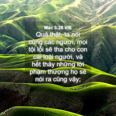 Picture 04 - Mác 3:28 VIE - Quả thật, ta nói cùng các ngươi, mọi - Bible Verse Picture
