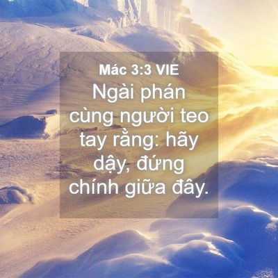 Picture 04 - Mác 3:3 VIE - Ngài phán cùng người teo tay rằng: hãy - Bible Verse Picture