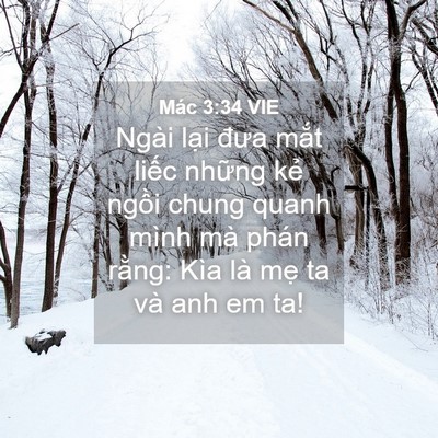 Picture 04 - Mác 3:34 VIE - Ngài lại đưa mắt liếc những kẻ - Bible Verse Picture