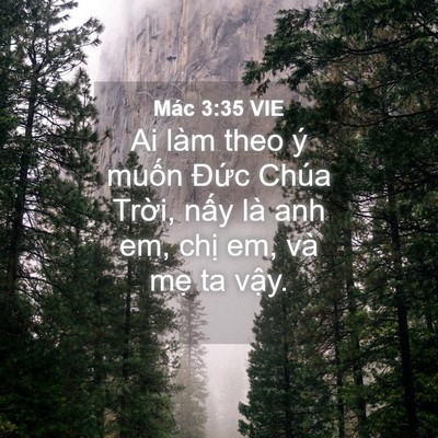 Picture 04 - Mác 3:35 VIE - Ai làm theo ý muốn Đức Chúa Trời, nấy - Bible Verse Picture