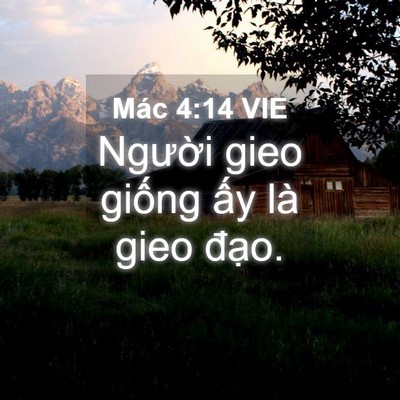 Picture 04 - Mác 4:14 VIE - Người gieo giống ấy là gieo - Bible Verse Picture