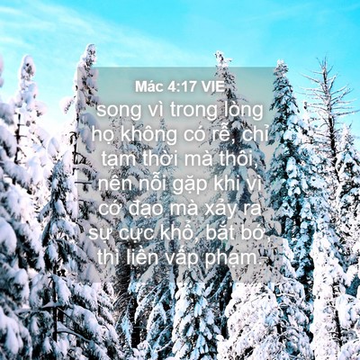 Picture 04 - Mác 4:17 VIE - song vì trong lòng họ không có rễ, chỉ - Bible Verse Picture