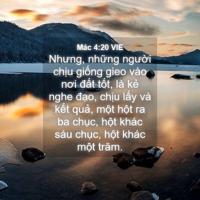 Picture 04 - Mác 4:20 VIE - Nhưng, những người chịu giống gieo vào - Bible Verse Picture