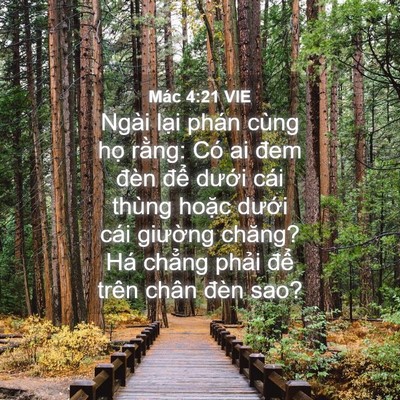 Picture 04 - Mác 4:21 VIE - Ngài lại phán cùng họ rằng: Có ai đem - Bible Verse Picture