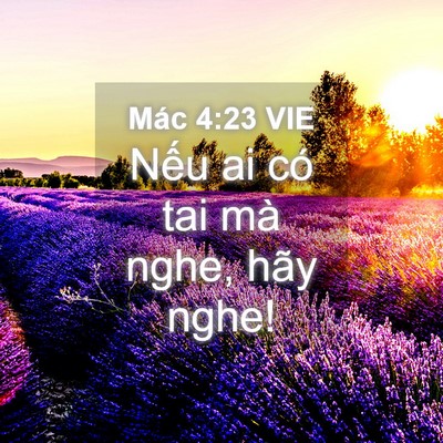 Picture 04 - Mác 4:23 VIE - Nếu ai có tai mà nghe, hãy - Bible Verse Picture