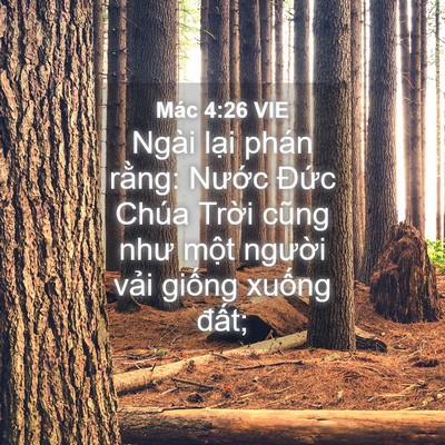 Picture 04 - Mác 4:26 VIE - Ngài lại phán rằng: Nước Đức Chúa - Bible Verse Picture