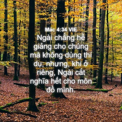 Picture 04 - Mác 4:34 VIE - Ngài chẳng hề giảng cho chúng mà không - Bible Verse Picture