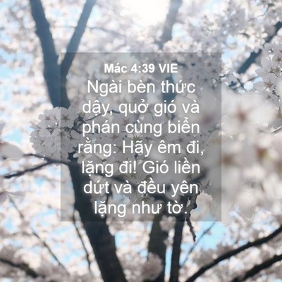 Picture 04 - Mác 4:39 VIE - Ngài bèn thức dậy, quở gió và phán - Bible Verse Picture