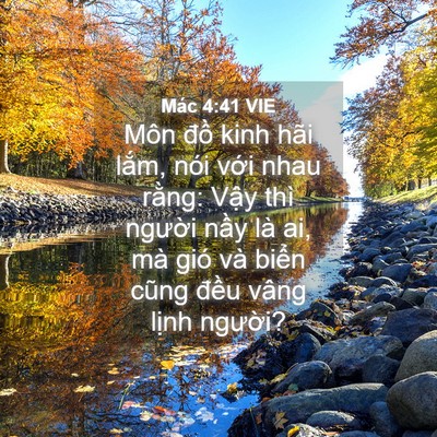 Picture 04 - Mác 4:41 VIE - Môn đồ kinh hãi lắm, nói với nhau - Bible Verse Picture