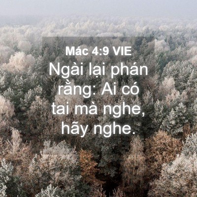 Picture 04 - Mác 4:9 VIE - Ngài lại phán rằng: Ai có tai mà nghe, - Bible Verse Picture