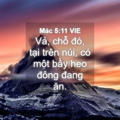 Picture 04 - Mác 5:11 VIE - Vả, chỗ đó, tại trên núi, có một - Bible Verse Picture