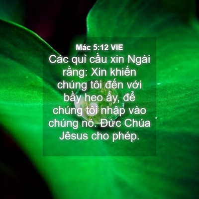 Picture 04 - Mác 5:12 VIE - Các quỉ cầu xin Ngài rằng: Xin khiến - Bible Verse Picture