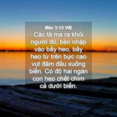 Picture 04 - Mác 5:13 VIE - Các tà ma ra khỏi người đó, bèn nhập - Bible Verse Picture