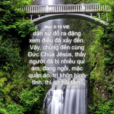 Picture 04 - Mác 5:15 VIE - dân sự đổ ra đặng xem điều đã xảy - Bible Verse Picture