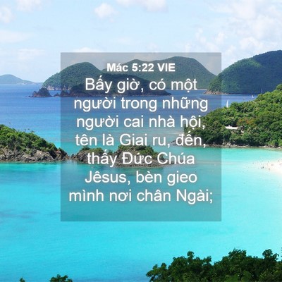 Picture 04 - Mác 5:22 VIE - Bấy giờ, có một người trong những - Bible Verse Picture