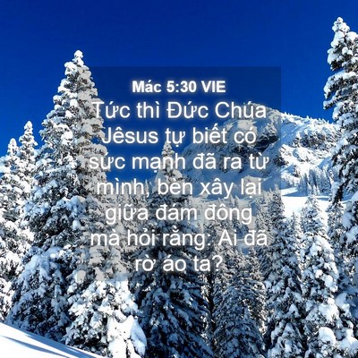 Picture 04 - Mác 5:30 VIE - Tức thì Đức Chúa Jêsus tự biết có - Bible Verse Picture