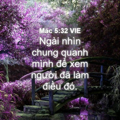 Picture 04 - Mác 5:32 VIE - Ngài nhìn chung quanh mình để xem người - Bible Verse Picture