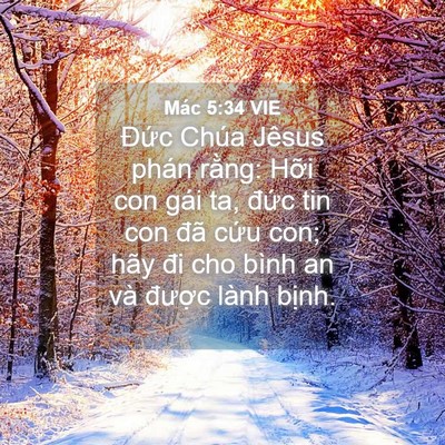 Picture 04 - Mác 5:34 VIE - Đức Chúa Jêsus phán rằng: Hỡi con gái - Bible Verse Picture