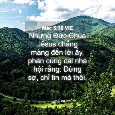 Picture 04 - Mác 5:36 VIE - Nhưng Đức Chúa Jêsus chẳng màng đến - Bible Verse Picture