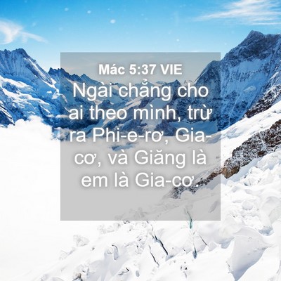 Picture 04 - Mác 5:37 VIE - Ngài chẳng cho ai theo mình, trừ ra - Bible Verse Picture