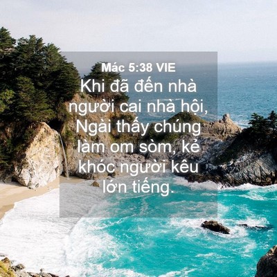 Picture 04 - Mác 5:38 VIE - Khi đã đến nhà người cai nhà hội, - Bible Verse Picture