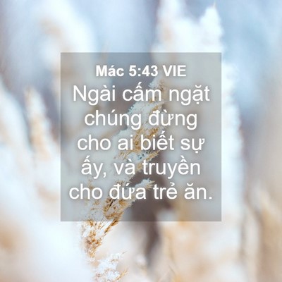 Picture 04 - Mác 5:43 VIE - Ngài cấm ngặt chúng đừng cho ai biết - Bible Verse Picture