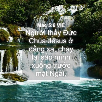 Picture 04 - Mác 5:6 VIE - Người thấy Đức Chúa Jêsus ở đằng - Bible Verse Picture