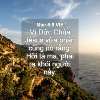 Picture 04 - Mác 5:8 VIE - Vì Đức Chúa Jêsus vừa phán cùng nó - Bible Verse Picture