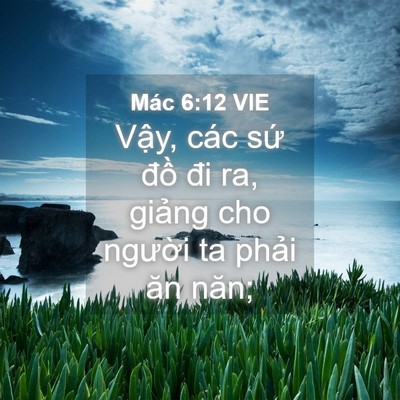 Picture 04 - Mác 6:12 VIE - Vậy, các sứ đồ đi ra, giảng cho - Bible Verse Picture