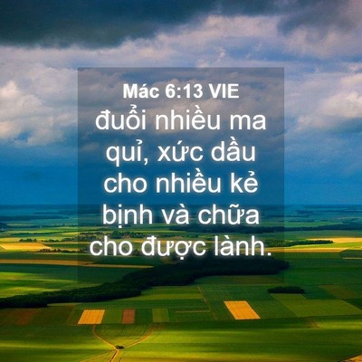 Picture 04 - Mác 6:13 VIE - đuổi nhiều ma quỉ, xức dầu cho nhiều - Bible Verse Picture