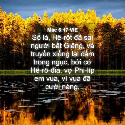 Picture 04 - Mác 6:17 VIE - Số là, Hê-rốt đã sai người bắt - Bible Verse Picture