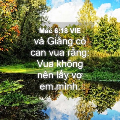 Picture 04 - Mác 6:18 VIE - và Giăng có can vua rằng: Vua không nên - Bible Verse Picture