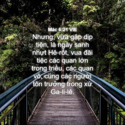 Picture 04 - Mác 6:21 VIE - Nhưng, vừa gặp dịp tiện, là ngày sanh - Bible Verse Picture