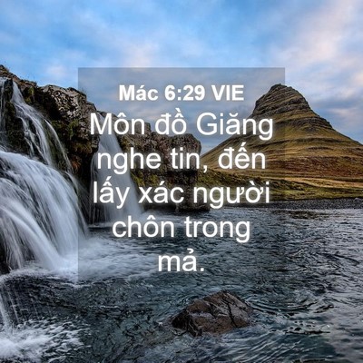Picture 04 - Mác 6:29 VIE - Môn đồ Giăng nghe tin, đến lấy xác - Bible Verse Picture