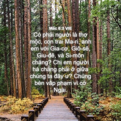 Picture 04 - Mác 6:3 VIE - Có phải người là thợ mộc, con trai - Bible Verse Picture