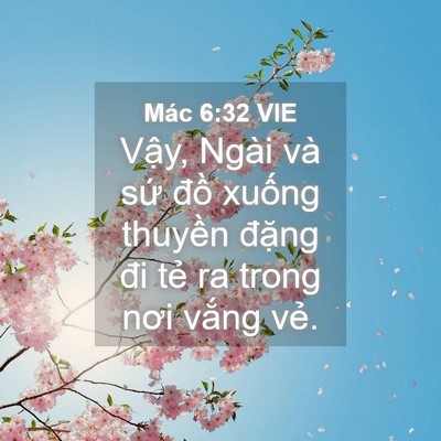 Picture 04 - Mác 6:32 VIE - Vậy, Ngài và sứ đồ xuống thuyền - Bible Verse Picture