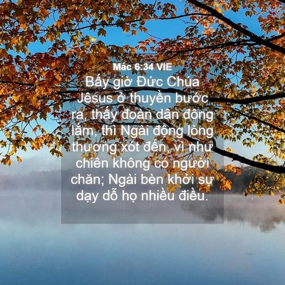 Picture 04 - Mác 6:34 VIE - Bấy giờ Đức Chúa Jêsus ở thuyền - Bible Verse Picture
