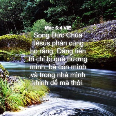 Picture 04 - Mác 6:4 VIE - Song Đức Chúa Jêsus phán cùng họ rằng: - Bible Verse Picture
