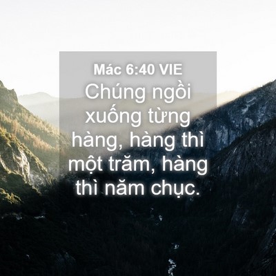 Picture 04 - Mác 6:40 VIE - Chúng ngồi xuống từng hàng, hàng thì - Bible Verse Picture