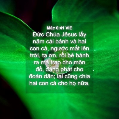 Picture 04 - Mác 6:41 VIE - Đức Chúa Jêsus lấy năm cái bánh và hai - Bible Verse Picture