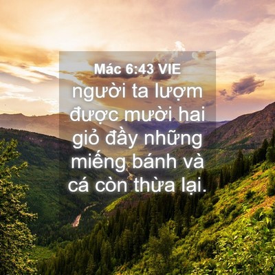 Picture 04 - Mác 6:43 VIE - người ta lượm được mười hai giỏ - Bible Verse Picture