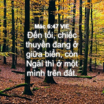 Picture 04 - Mác 6:47 VIE - Đến tối, chiếc thuyền đang ở giữa - Bible Verse Picture