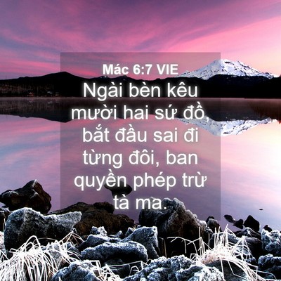 Picture 04 - Mác 6:7 VIE - Ngài bèn kêu mười hai sứ đồ, bắt - Bible Verse Picture