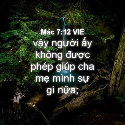 Picture 04 - Mác 7:12 VIE - vậy người ấy không được phép giúp - Bible Verse Picture