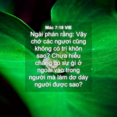 Picture 04 - Mác 7:18 VIE - Ngài phán rằng: Vậy chớ các ngươi - Bible Verse Picture