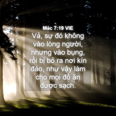 Picture 04 - Mác 7:19 VIE - Vả, sự đó không vào lòng người, - Bible Verse Picture